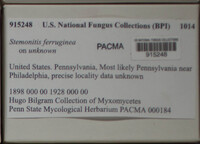 Image Associated With the Occurence